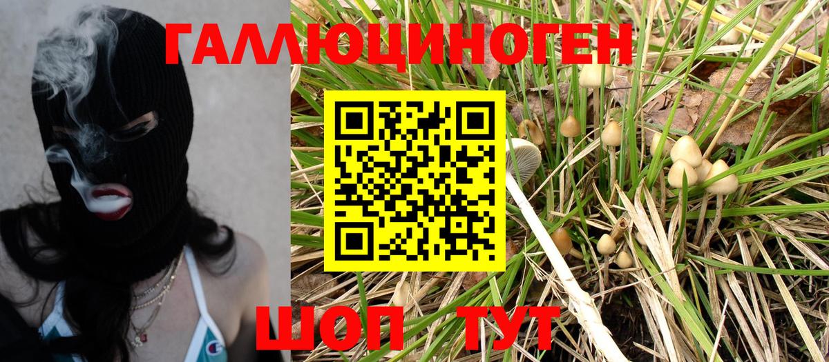 Галлюциногенные грибы Psilocybe Грязи